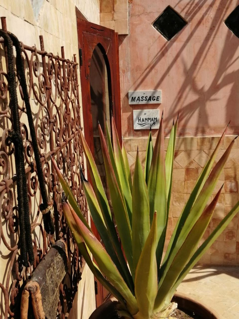 Les Bains De Fez Tara住宿加早餐旅馆 外观 照片